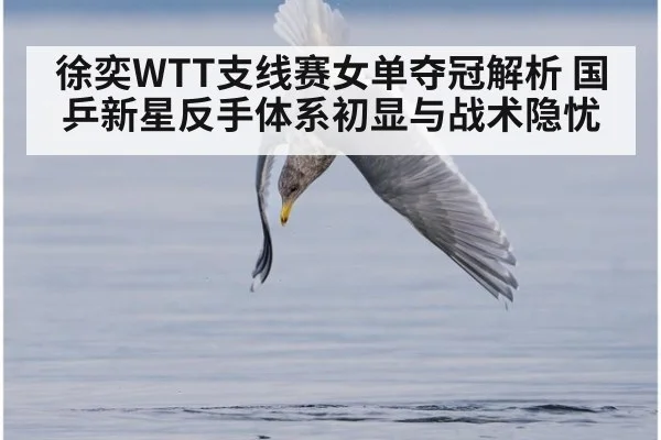 徐奕WTT支线赛女单夺冠解析 国乒新星反手体系初显与战术隐忧